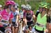 Colorful and co-ordinated Colavita leaders kits 		CREDITS: Peter Kraiker 		TITLE: 2011 Joe Martin Stage Race Day 4 		COPYRIGHT: ¬© Peter Kraiker 2011